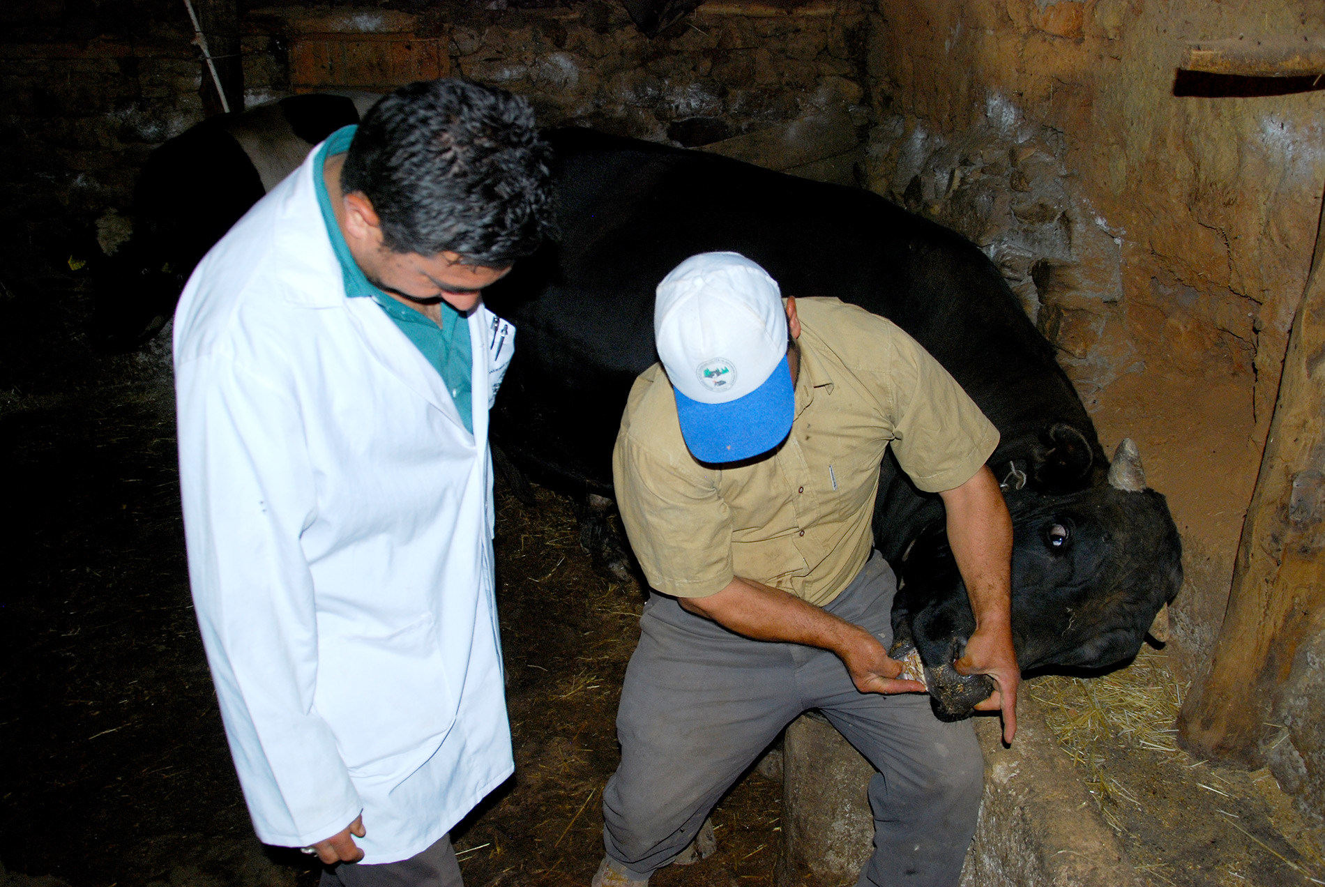 Kurban Bayramı Öncesi 'Güvenli Kesim, Sağlıklı Tüketim' Eğitimi Verildi