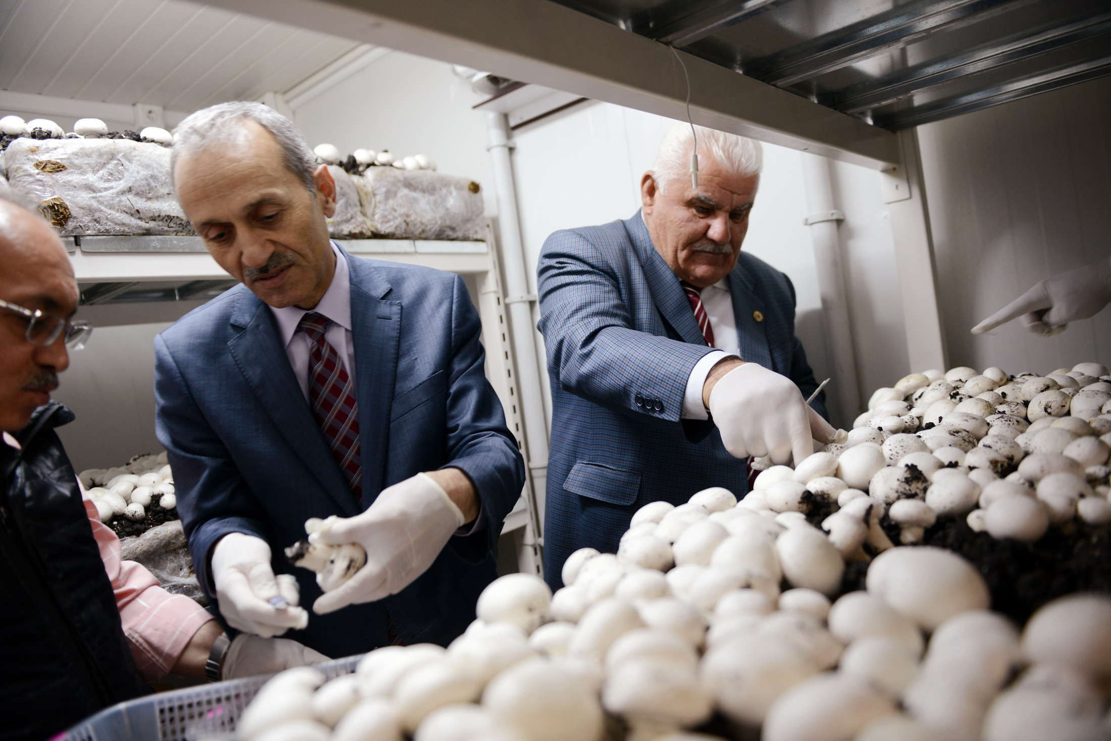 Mantar Yetiştiriciliği Eğitiminde İlk Hasat Yapıldı