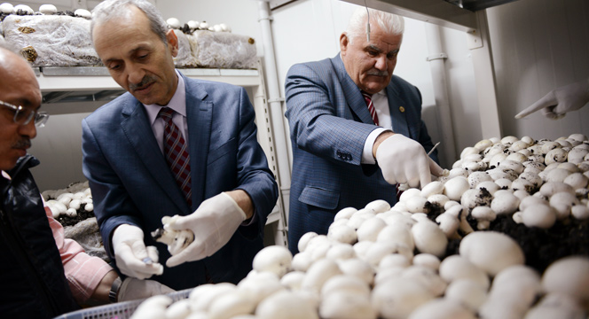 Mantar Yetiştiriciliği Eğitiminde İlk Hasat Yapıldı