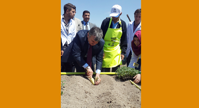 Büyükşehir\'den Örnek Tarım Projeleri