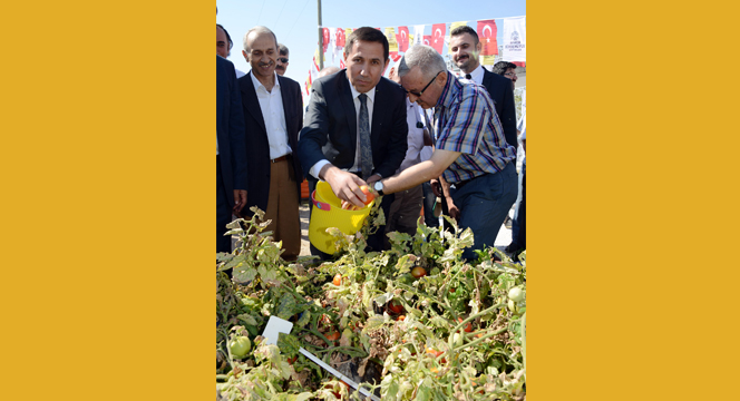 Özel Öğrenciler Hasat Şenliğinde Buluştu