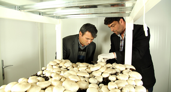 Yöresel Ürünler Satış Merkezi Açıldı
