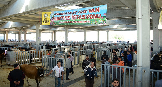 Büyükşehir Kurban Bayramı'na Hazır