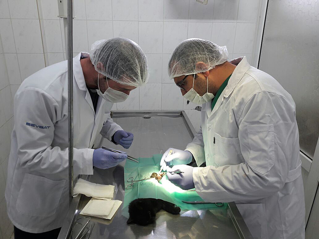 Sahipsiz Hayvanlar İçin Merhamet Yuvası