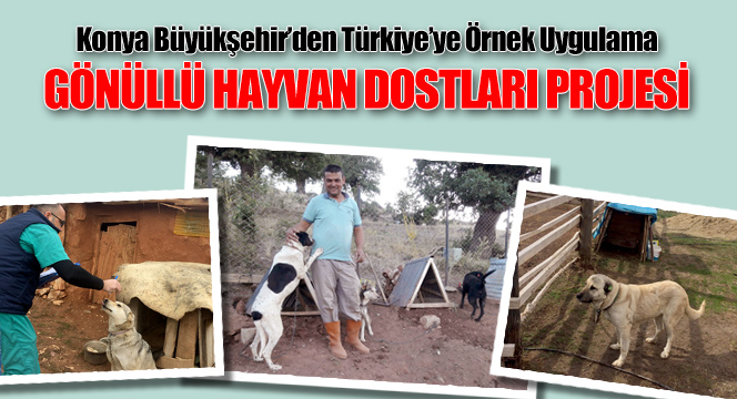 Türkiye'ye Örnek Uygulama: Gönüllü Hayvan Dostları Projesi