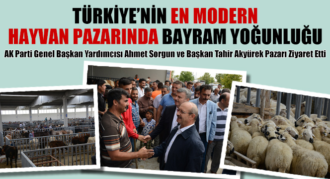 Türkiye'nin En Modern Hayvan Pazarında Bayram Yoğunluğu