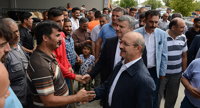 Türkiye'nin En Modern Hayvan Pazarında Bayram Yoğunluğu