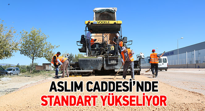 Aslım Caddesi'nde Standart Yükseliyor