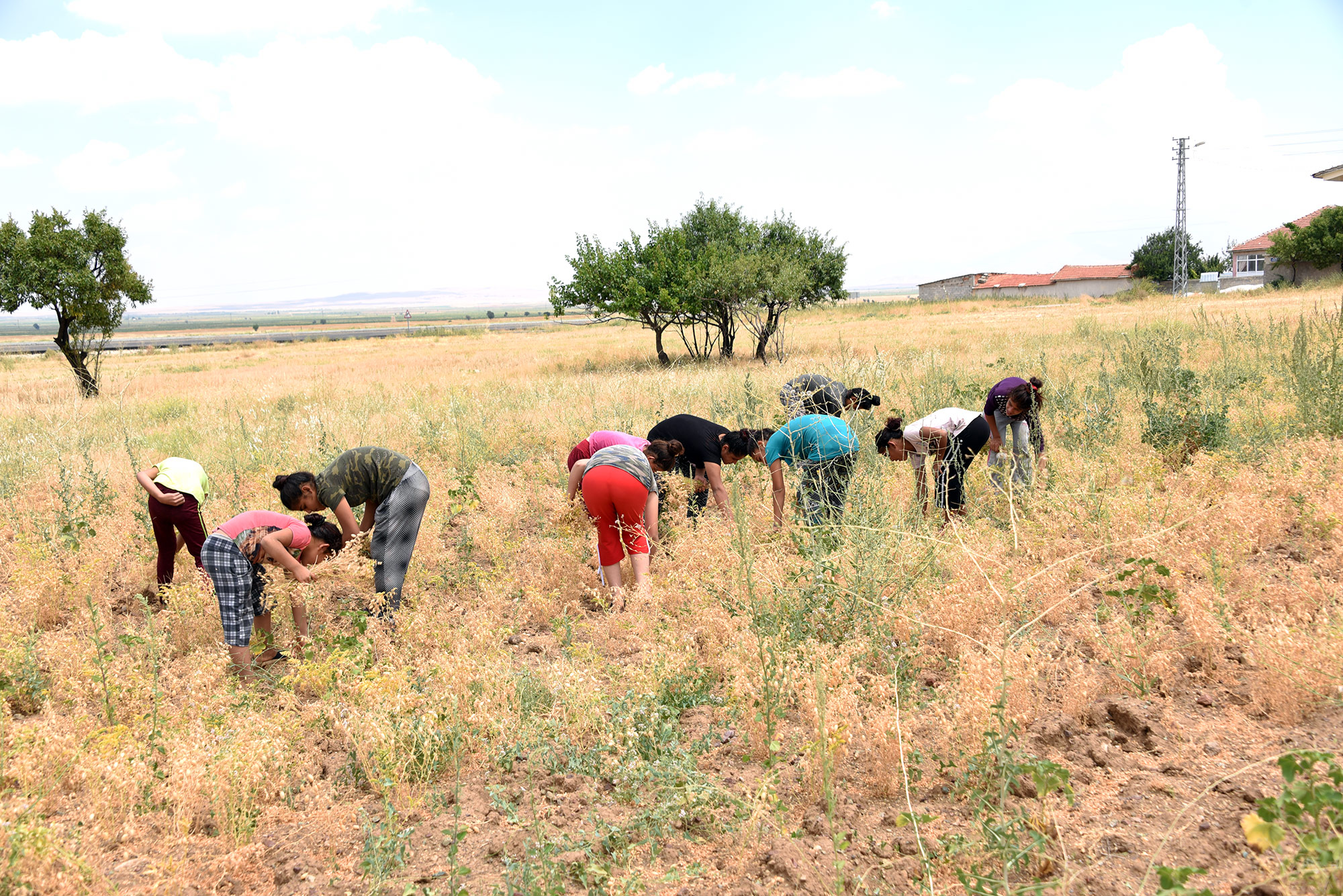 Mevsimlik Tarım İşçilerinin Çocukları Gönüllerince Eğlendi