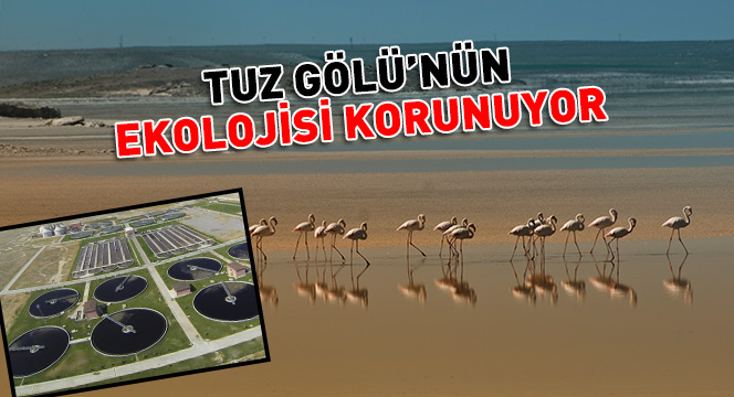 Tuz Gölü'nün Ekolojisi Korunuyor