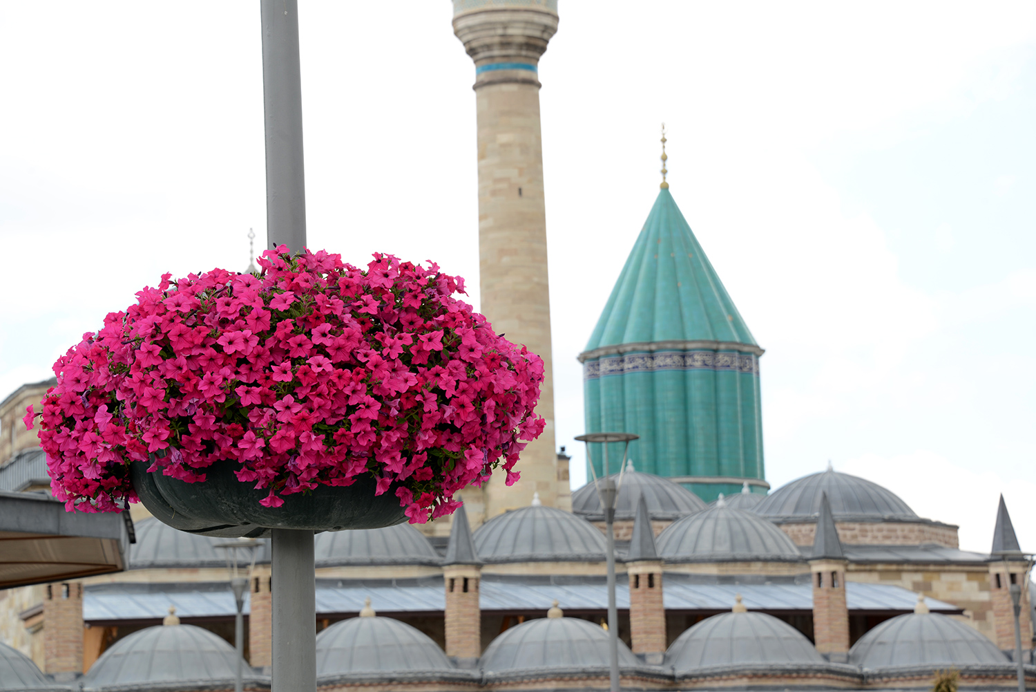 Konya'nın Caddeleri Çiçek Açtı