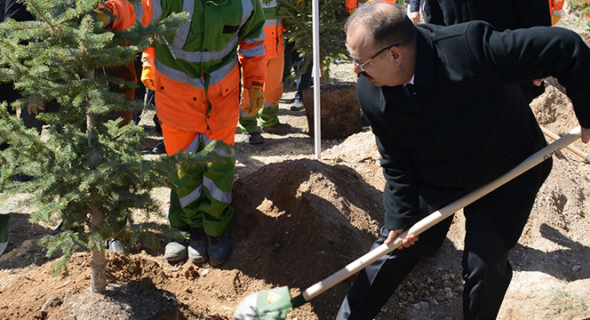 5 Milyon Fidan Toprakla Buluştu
