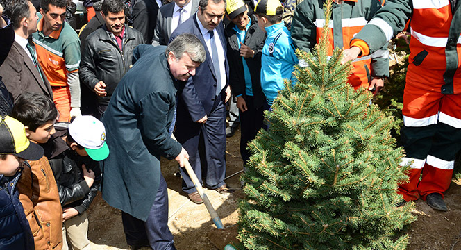 2016'da 9,6 Milyon Fidan Toprakla Buluştu
