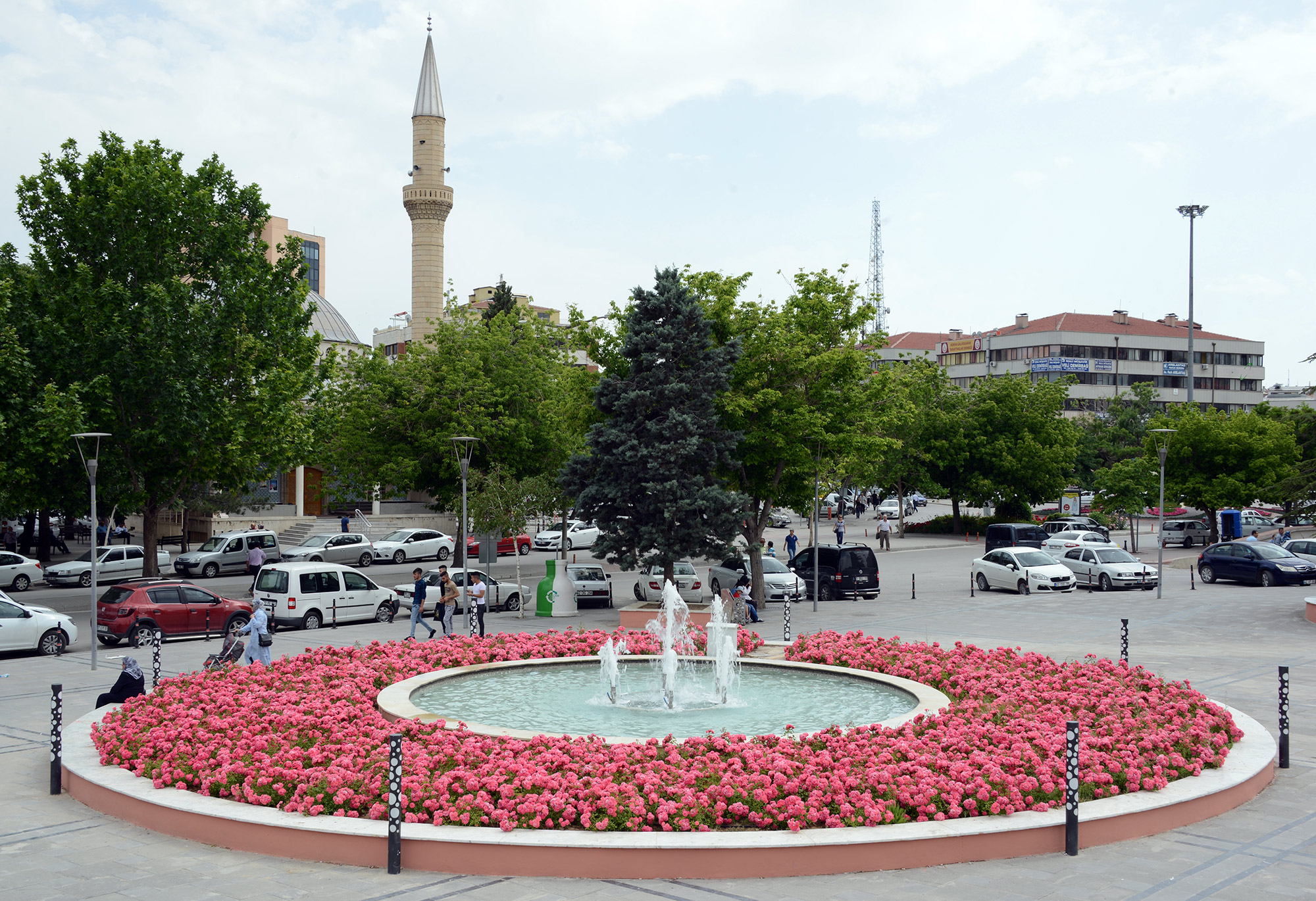 Güller Şehri Konya'da 'Gül' Zamanı 