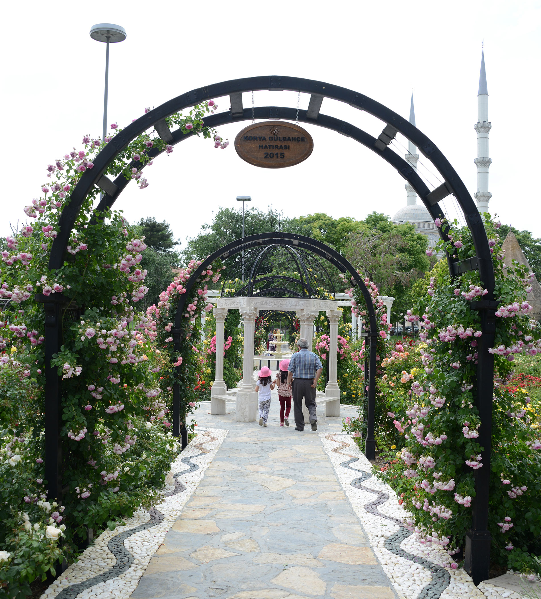 Güller Şehri Konya'da 'Gül' Zamanı 