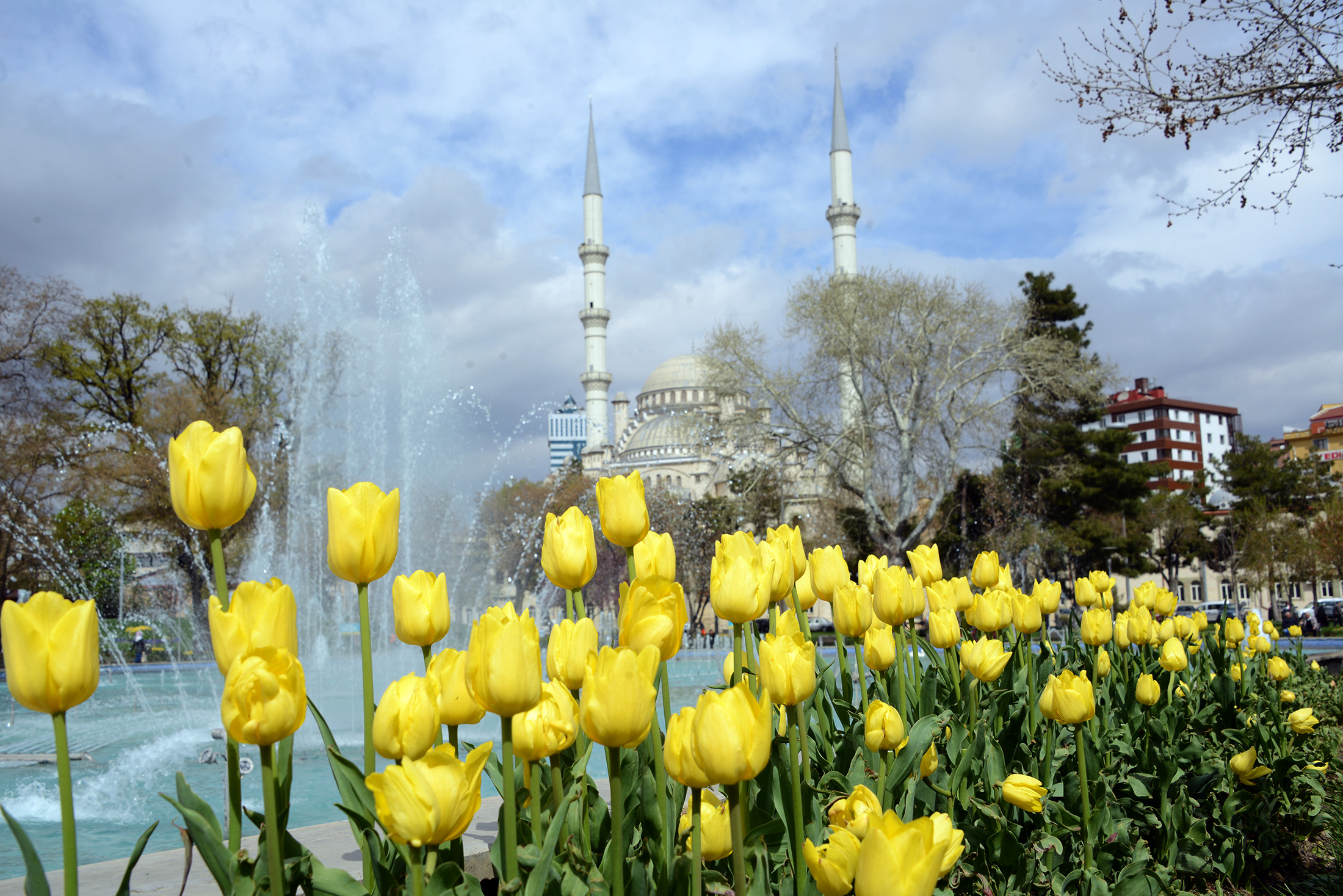 Konya'da 'Lale Mevsimi' Bir Başkadır