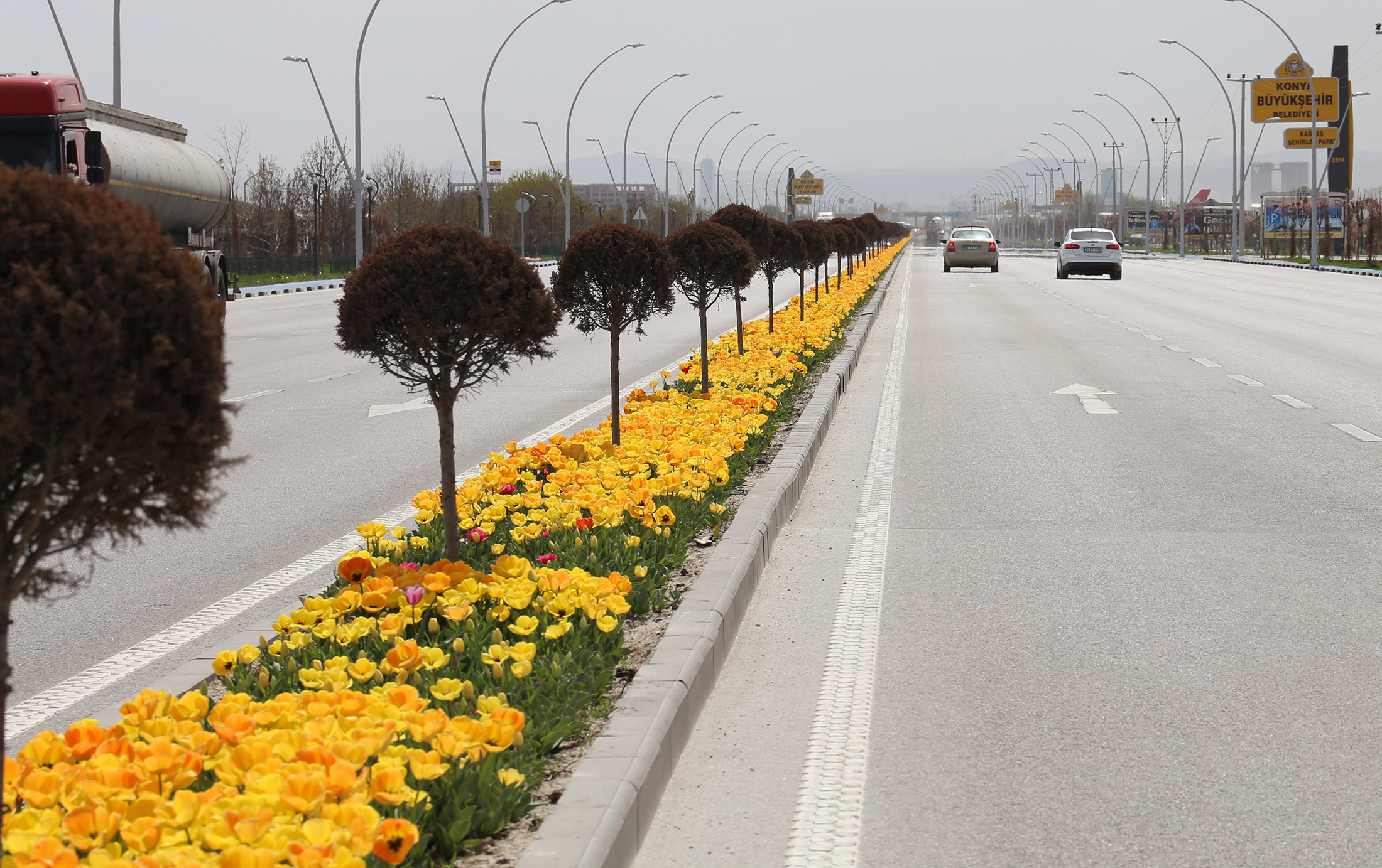 Konya'da 'Lale Mevsimi' Bir Başkadır