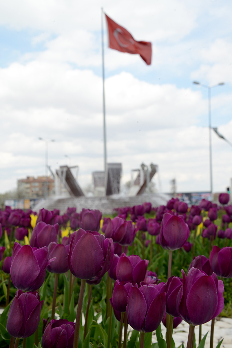 Konya'da 'Lale Mevsimi' Bir Başkadır