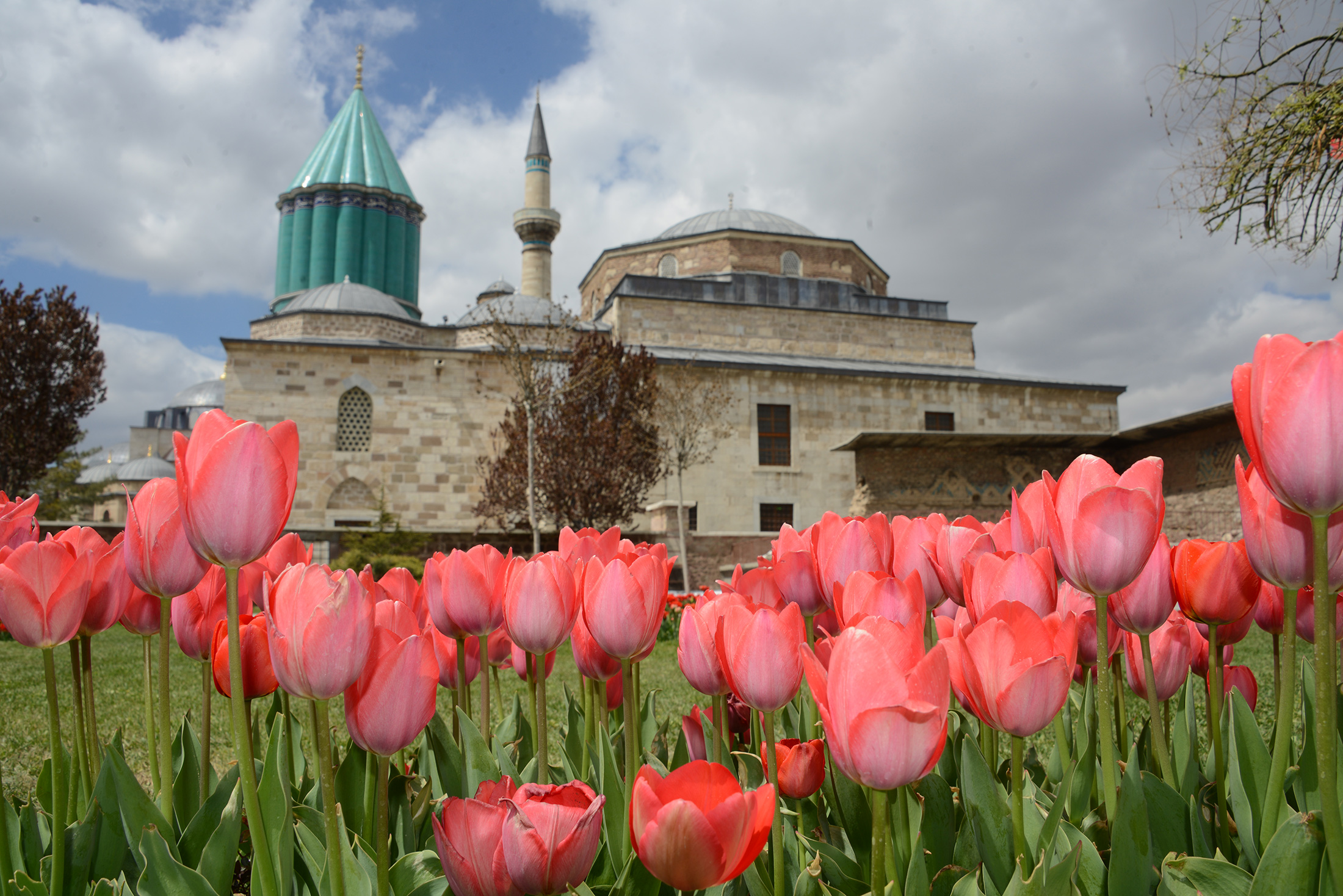Konya'da 'Lale Mevsimi' Bir Başkadır
