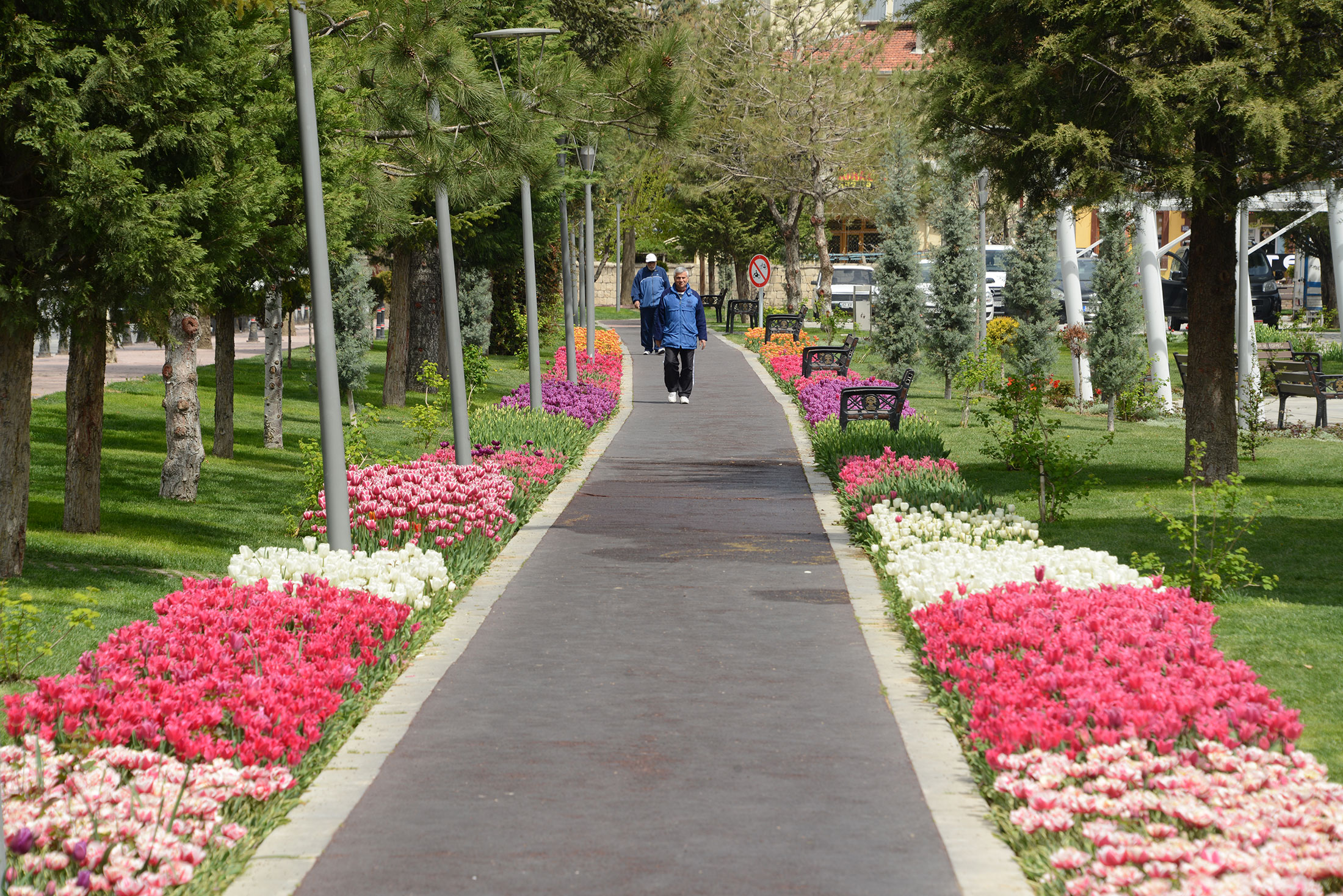 Konya'da 'Lale Mevsimi' Bir Başkadır