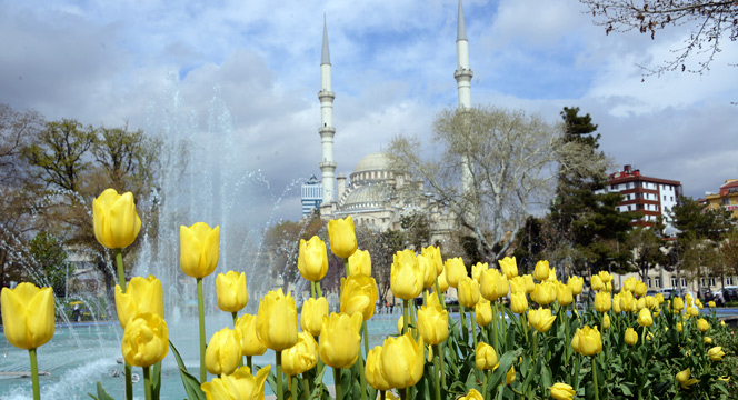 Konya'da 'Lale Mevsimi' Bir Başkadır