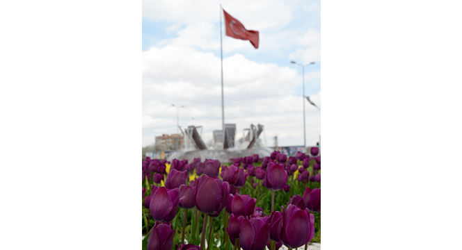 Konya'da 'Lale Mevsimi' Bir Başkadır