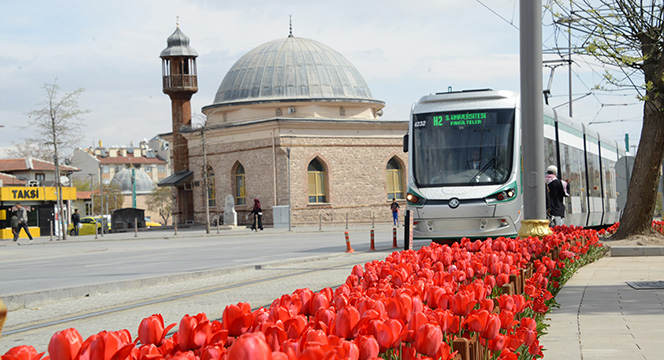 Konya'da 'Lale Mevsimi' Bir Başkadır