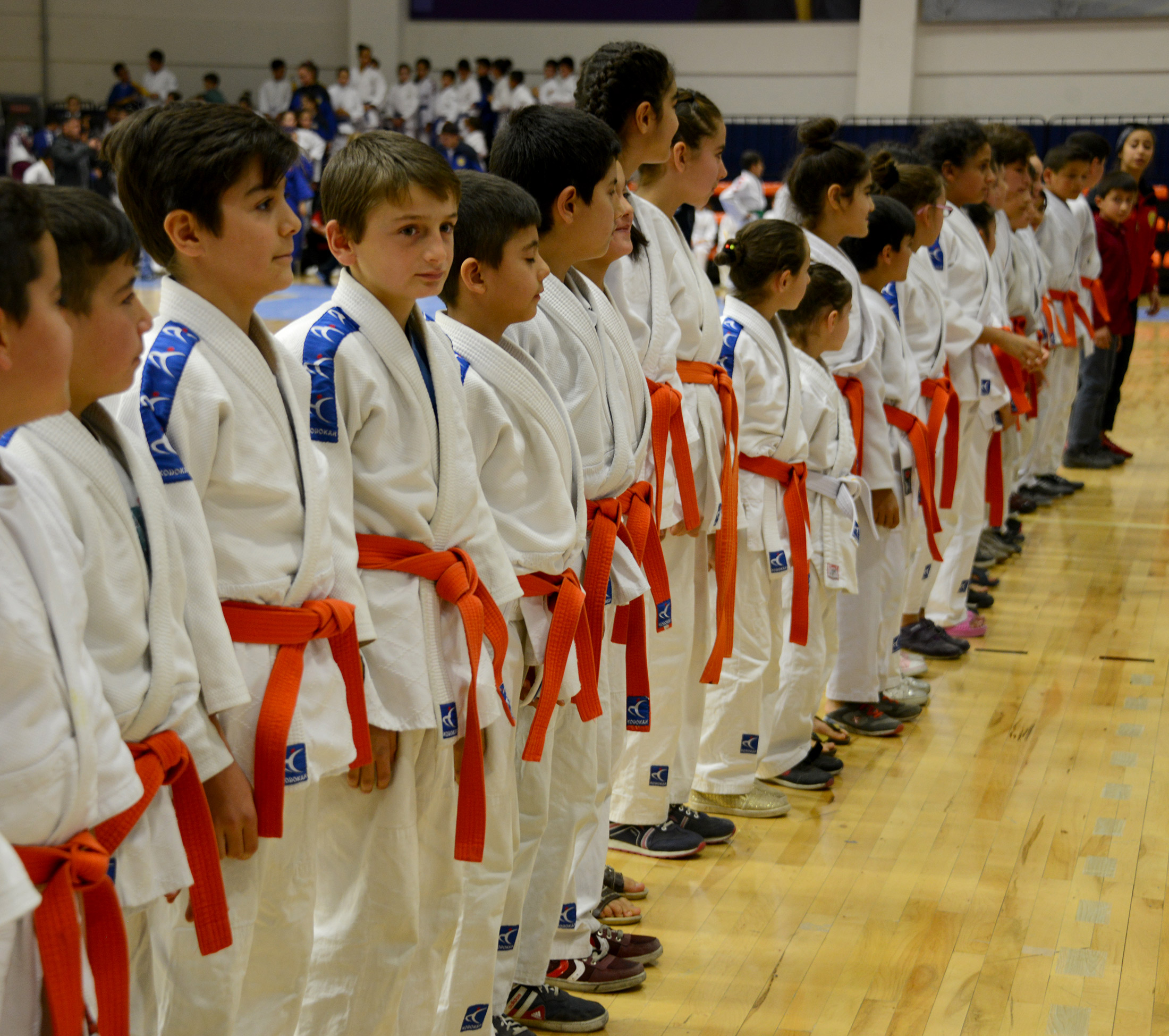Judoda Dereceye Giren Sporcular Ödüllendirildi