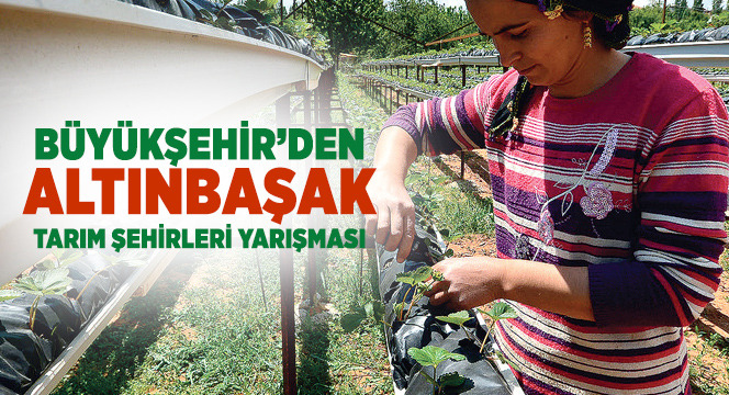 Büyükşehir'den 'Altınbaşak' Tarım Şehirleri Yarışması