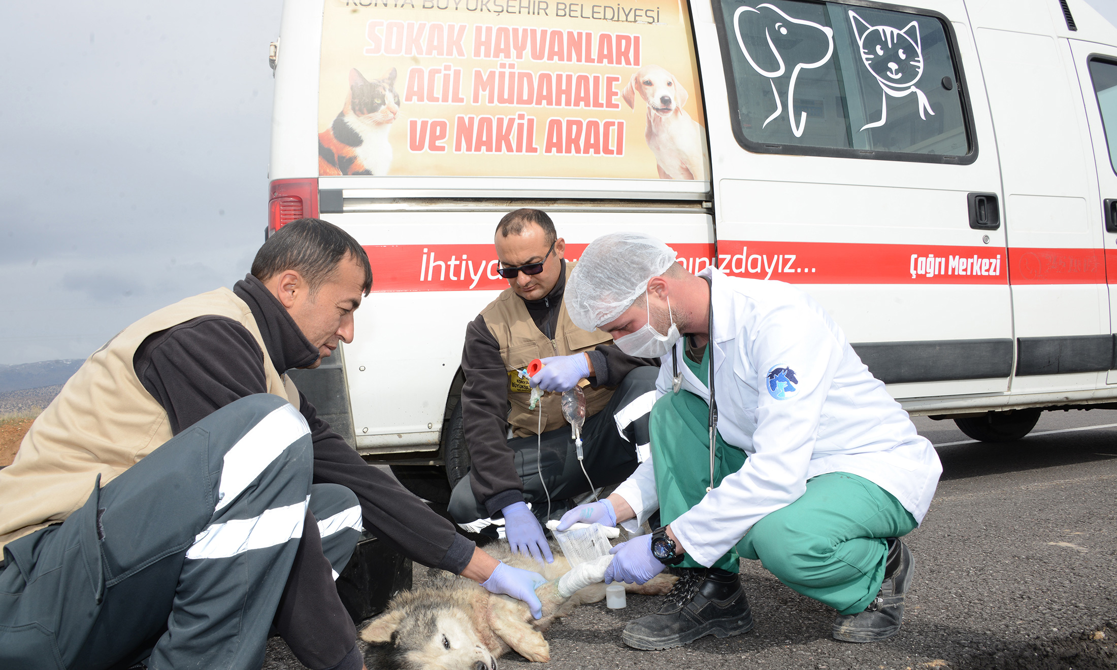 Sevgi Şehri Konya'da Hayvanlar İçin Örnek Projeler