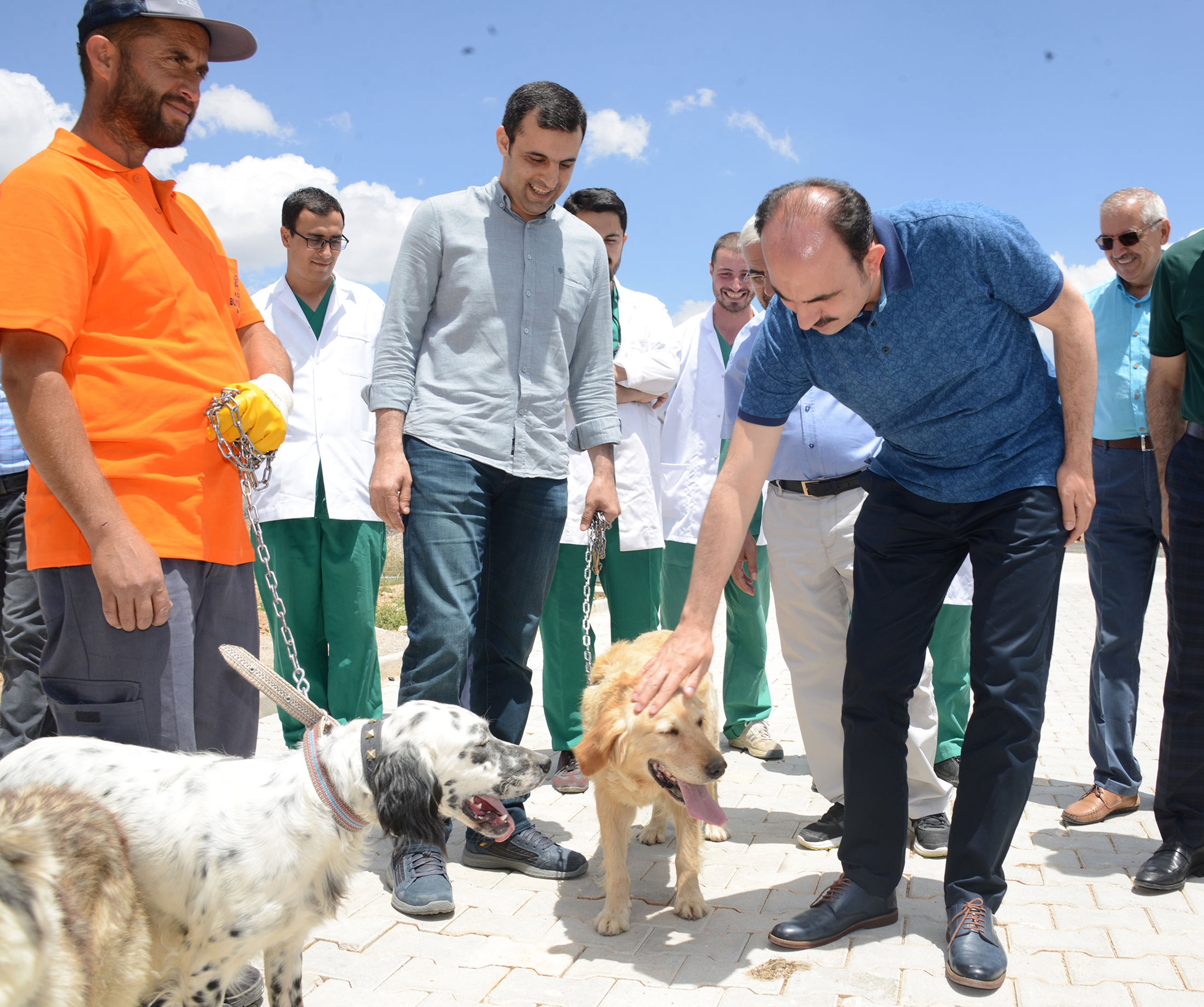 Sokak Hayvanları İçin Bir Kap Yemek Bir Kap Su