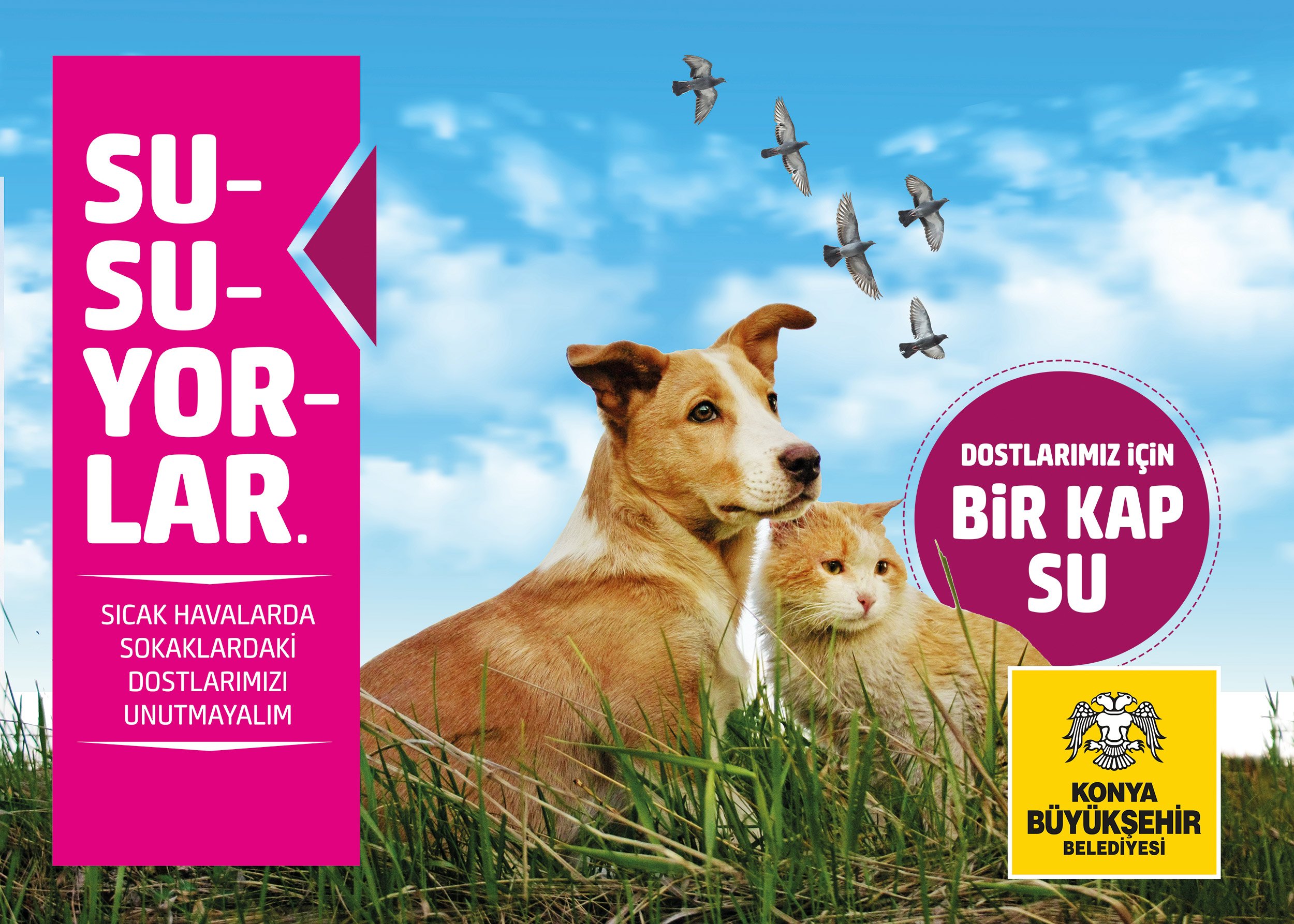 Sokak Hayvanları İçin Bir Kap Yemek Bir Kap Su