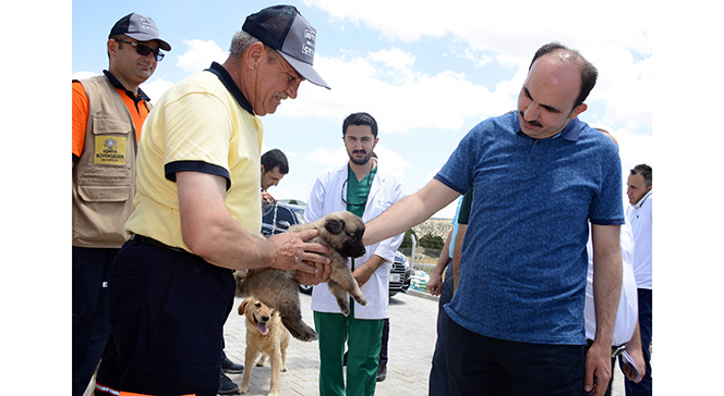 Sokak Hayvanları İçin Bir Kap Yemek Bir Kap Su
