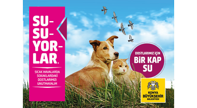 Sokak Hayvanları İçin Bir Kap Yemek Bir Kap Su