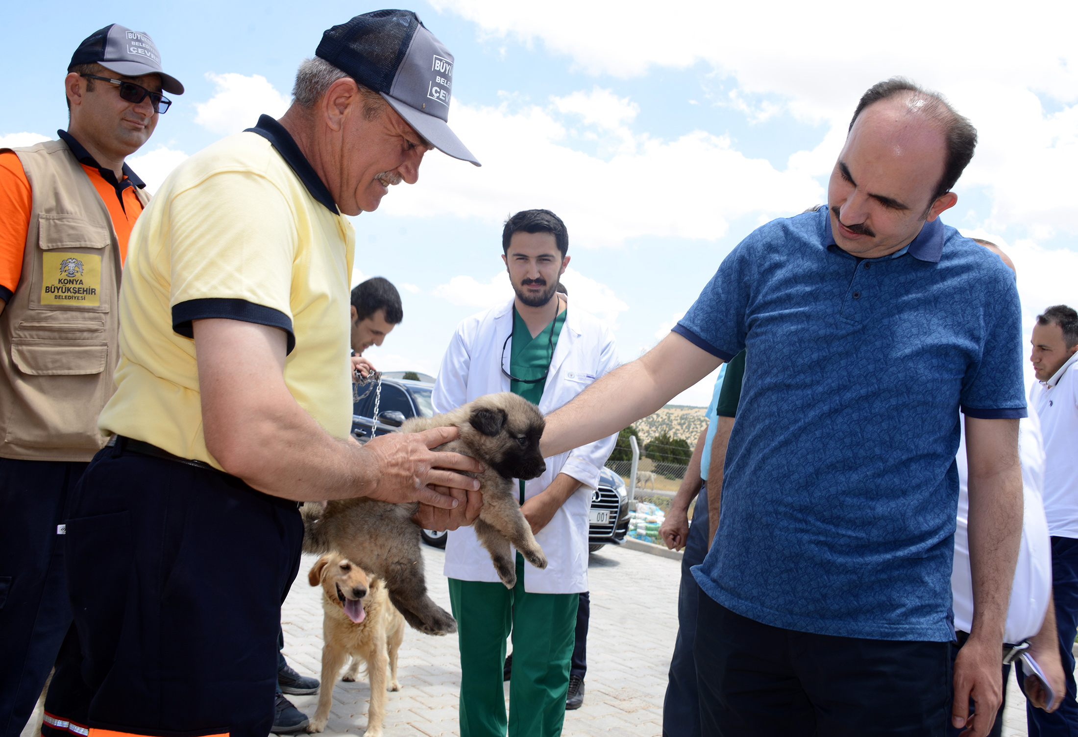 Büyükşehir'den Türkiye'ye Örnek: Gönüllü Hayvan Dostları Projesi 