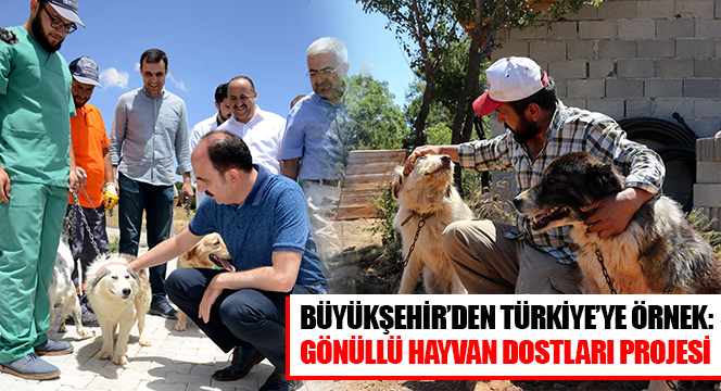 Büyükşehir'den Türkiye'ye Örnek: Gönüllü Hayvan Dostları Projesi 