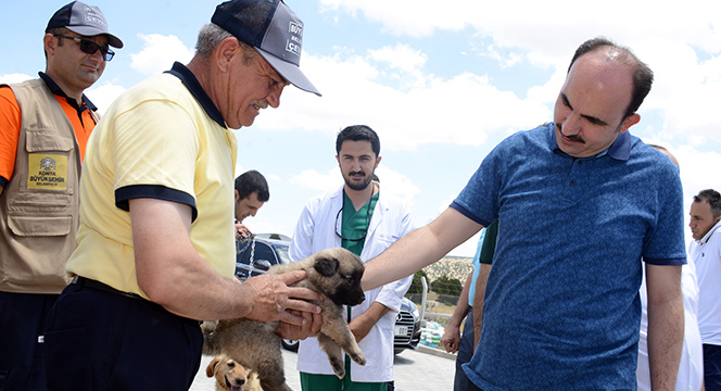 Büyükşehir'den Türkiye'ye Örnek: Gönüllü Hayvan Dostları Projesi 