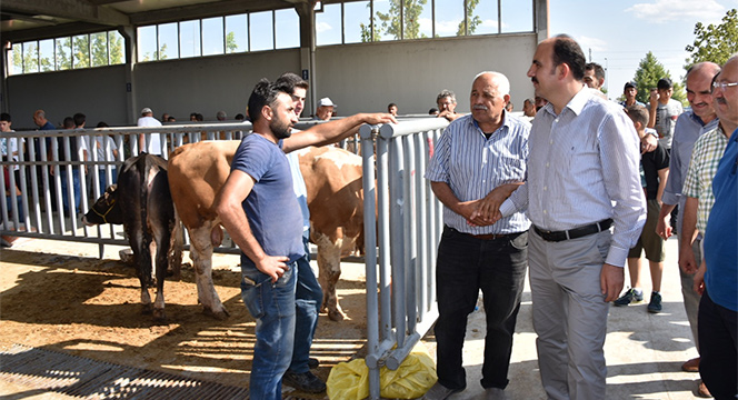 Bayramın Sorunsuz Geçmesi İçin Tüm Tedbirleri Aldık