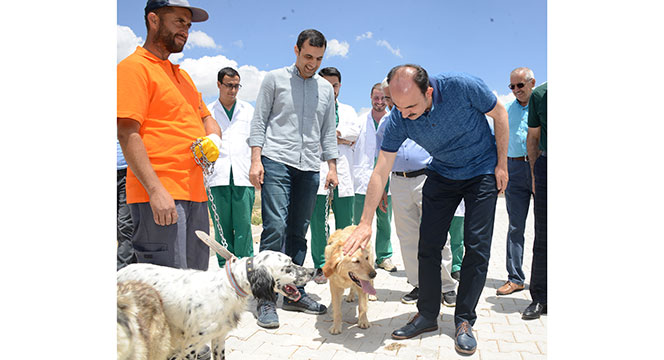Türkiye'nin En Modern Hayvan Barınaklarından Biri Konya'da