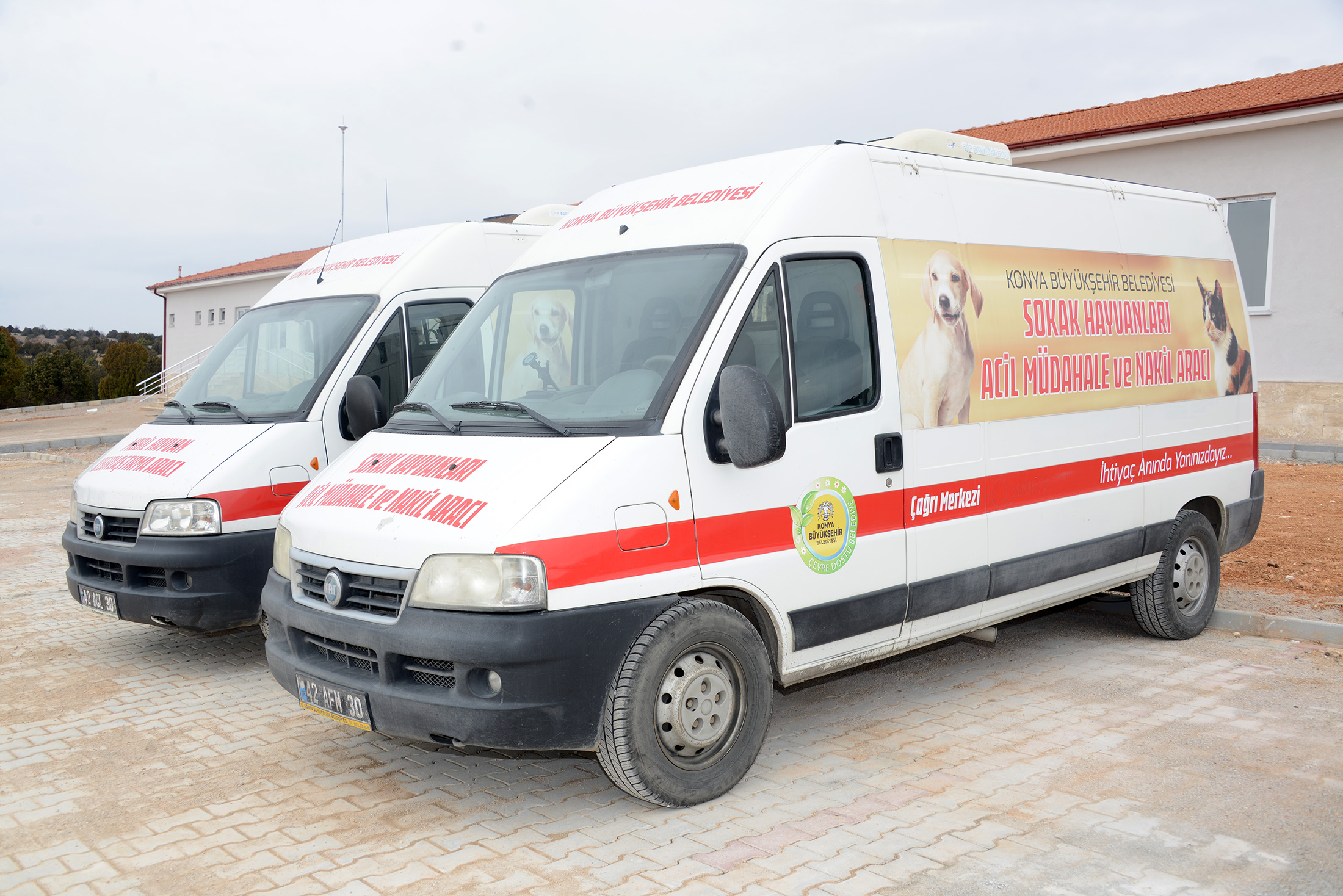 Sevgi ve Merhamet Şehri Konya'da Hayvanlar İçin Acil Müdahale Ekibi 
