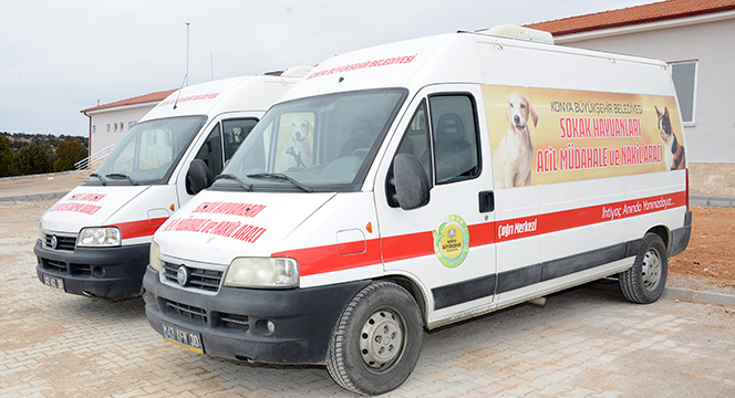 Sevgi ve Merhamet Şehri Konya'da Hayvanlar İçin Acil Müdahale Ekibi 