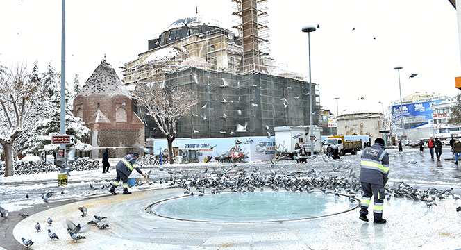Sahipsiz ve Doğal Hayattaki Hayvanlara Büyükşehir Şefkati
