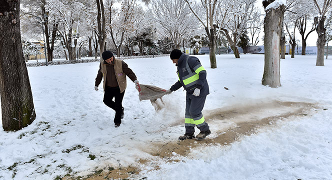 Sahipsiz ve Doğal Hayattaki Hayvanlara Büyükşehir Şefkati