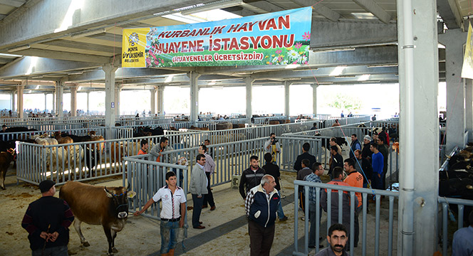 Büyükşehir Kurban Bayramı'na Hazır