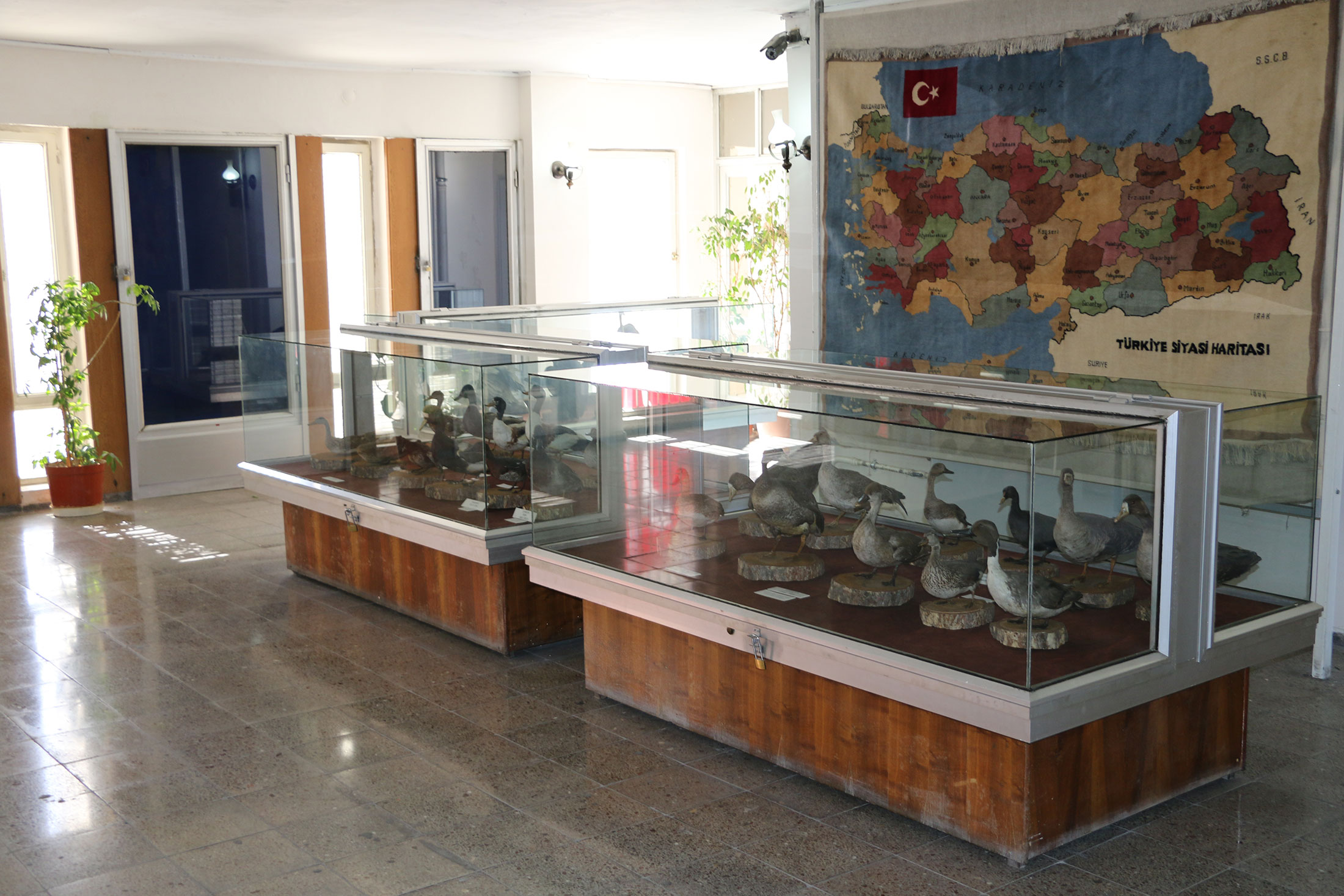 Koyunoğlu Müze ve Kütüphanesi'ne Tarihi Kentler Birliği'nden Ödül