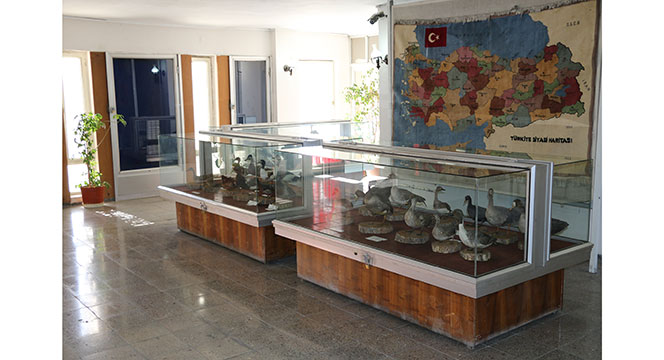 Koyunoğlu Müze ve Kütüphanesi'ne Tarihi Kentler Birliği'nden Ödül