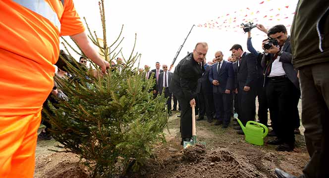 6 Milyon Fidan Toprakla Buluştu