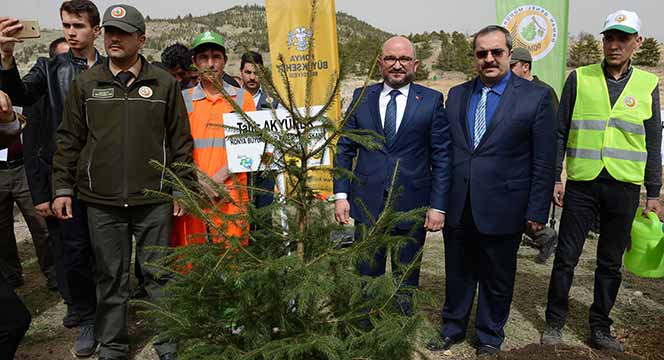 6 Milyon Fidan Toprakla Buluştu