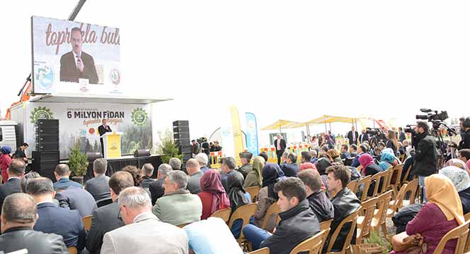 6 Milyon Fidan Toprakla Buluştu