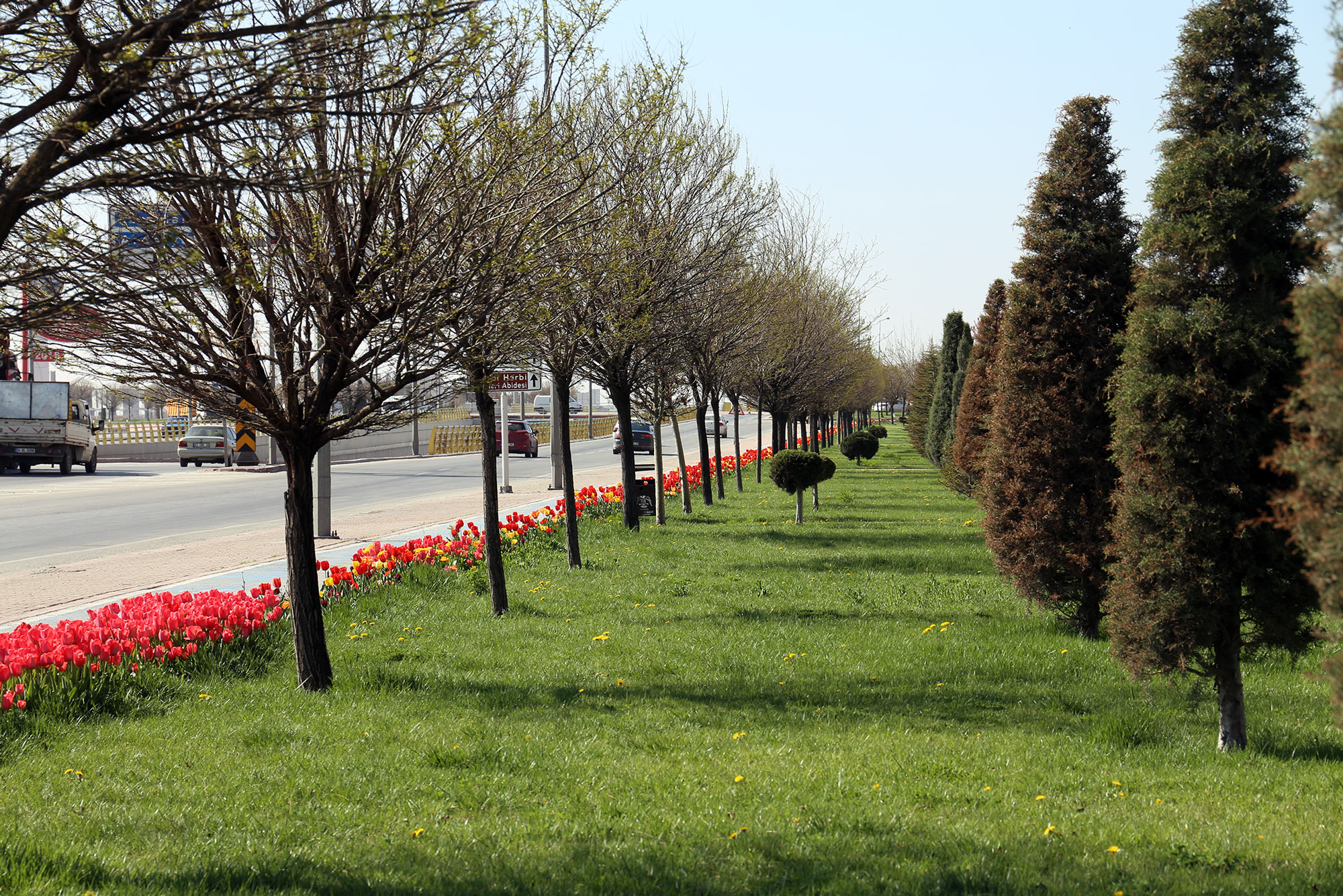 'Yeşil İçinde Konya' İçin Çalışıyoruz